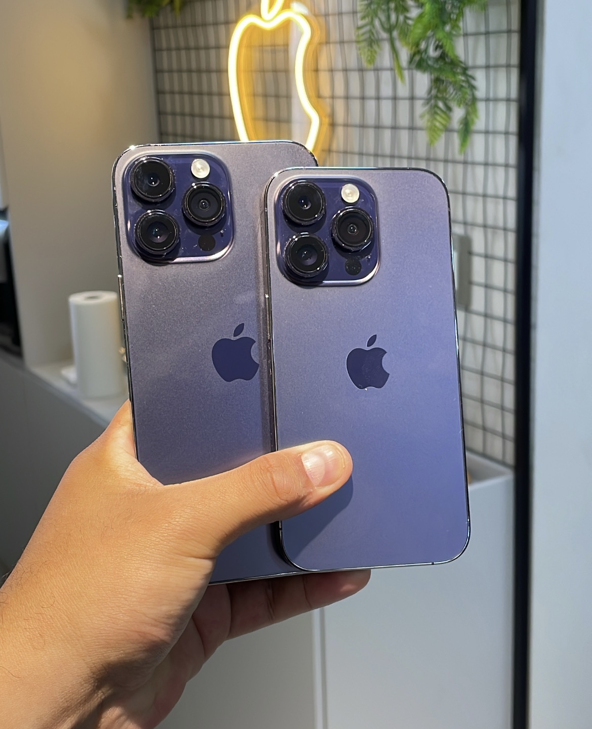 iPhone Mundo Phone 6